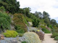 Albums/20060200-New Zealand 2006/20060314-Dunedin/29